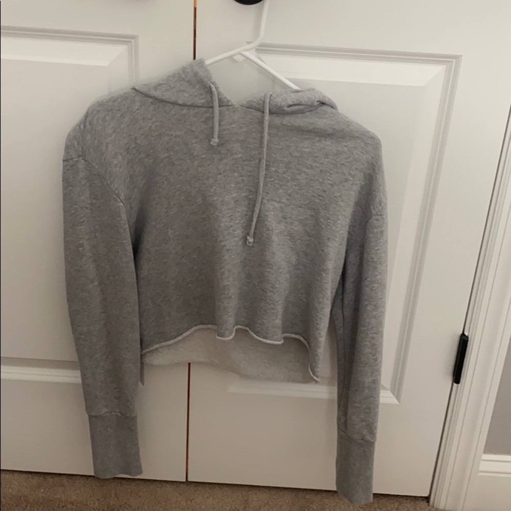 Pacsun Cropped Hoodie